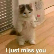 饭也太好吃了吧