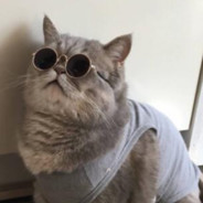 大烟感嘴里塞,我只抽第5代