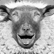 [CPL]JoyfulSheep