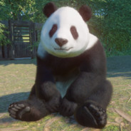 Isa avatar