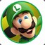 Single Luigi