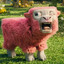 Rambunctious_Sheep566
