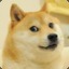 [DOGE]QuniX24