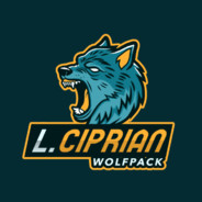 L.C - steam id 76561198992482857