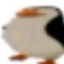 imorr