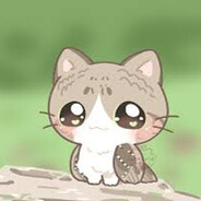 котик на природе