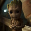 Groot