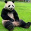 Po