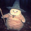 Josh The Wizard Cat