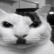kitler