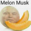 Melon Musk