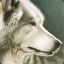 Fenrir
