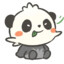 秃顶杰尼龟