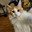 Stoffe