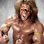 Ultimate Warrior