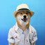 PSINA