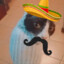 Joven  Ratatouille
