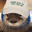 Badger
