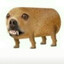 mao