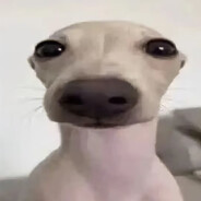 哥布龙(退役版)