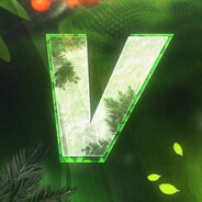 V3G4