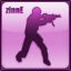 zinnE
