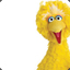 Big Bird