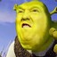 This Is My Swamp