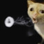 jagu_R