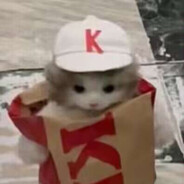 KFCat - steam id 76561199078740995