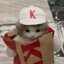 KFCat