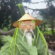 却道春尚好