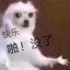 燕双鹰
