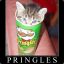 Pringles™