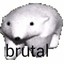 Yurch