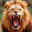 LionusMaximusAnusus