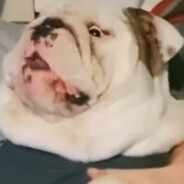 Lil&#039;Chinga