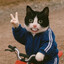 Jungle人