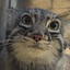 BigBusto's avatar