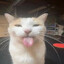 Bleh's avatar