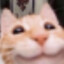 Chemonte