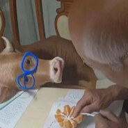 立羽会起大狙的