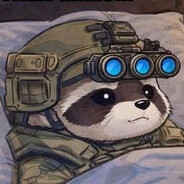 TacticalRaccoon
