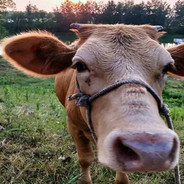 别人干拉我拉西