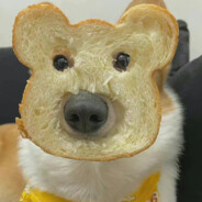 给你印度飞饼儿