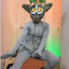 King Julian