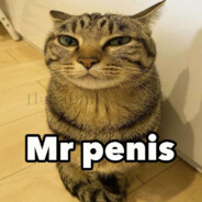 mr. penis