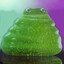 Amorphous Combatant