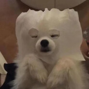 无敌战神龙傲天