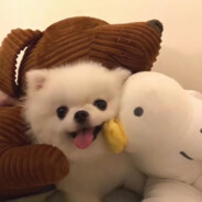 哥几个三排指定嘎嘎乱